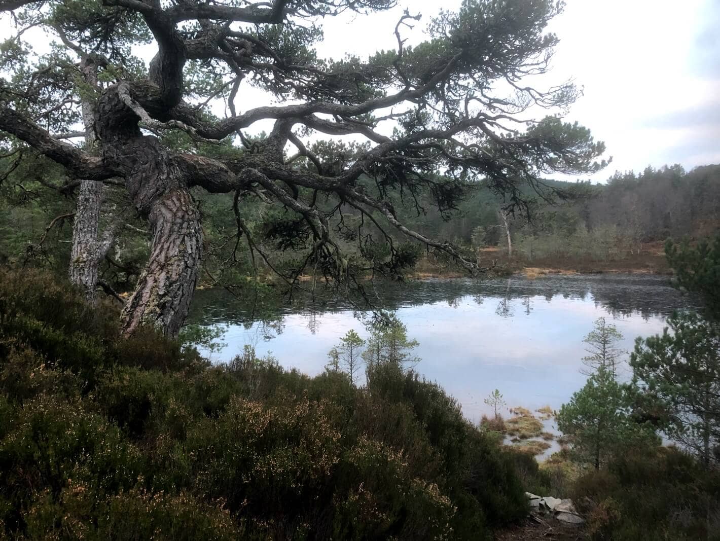 Coire Loch Glen Affric - The Coach House Inverness