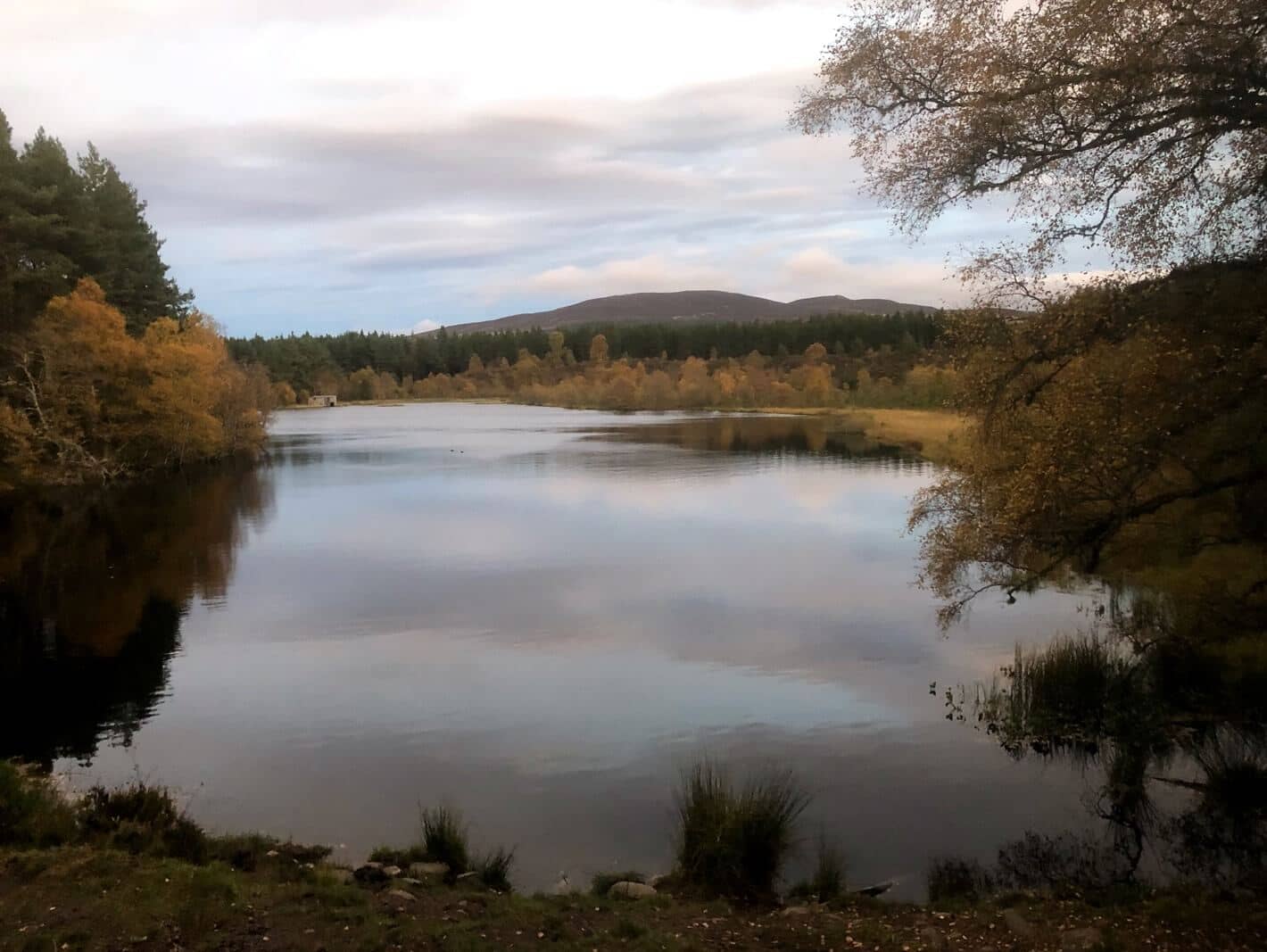 Highland Walk - The Coach House Inverness