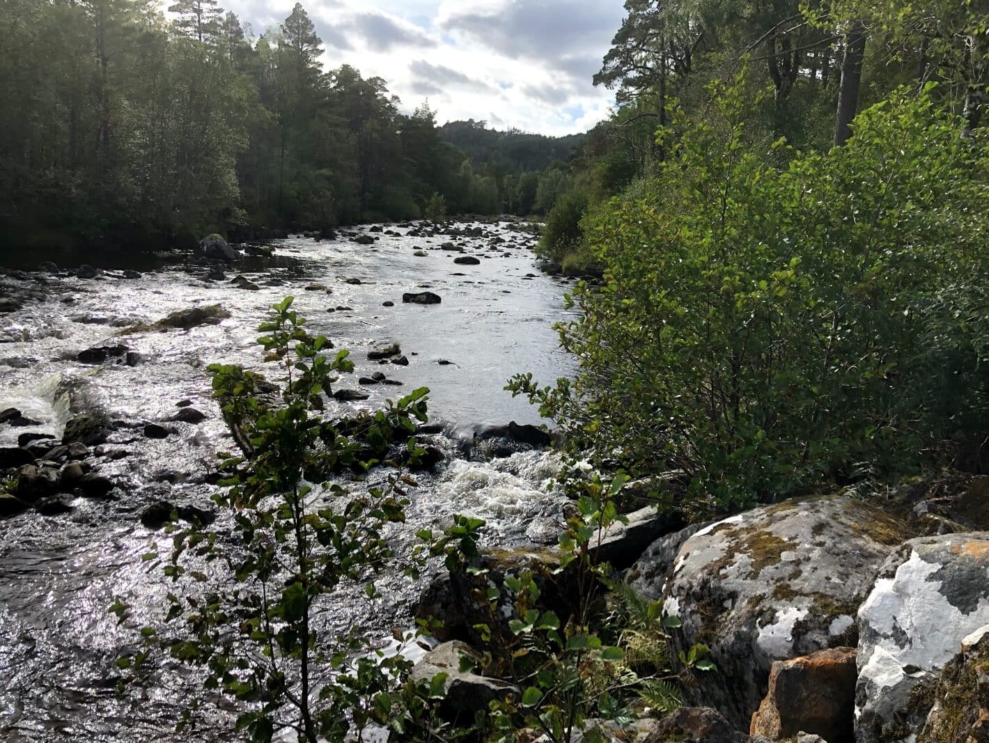 River Affric - The Coach House Inverness
